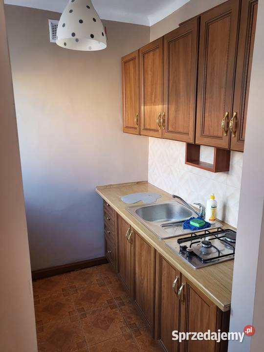 Wynajmę mieszkanie kawalerkę w Przasnyszu