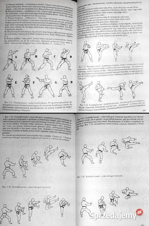 Sztuki i sporty walki dalekiego wschodu Jerzy Chełm