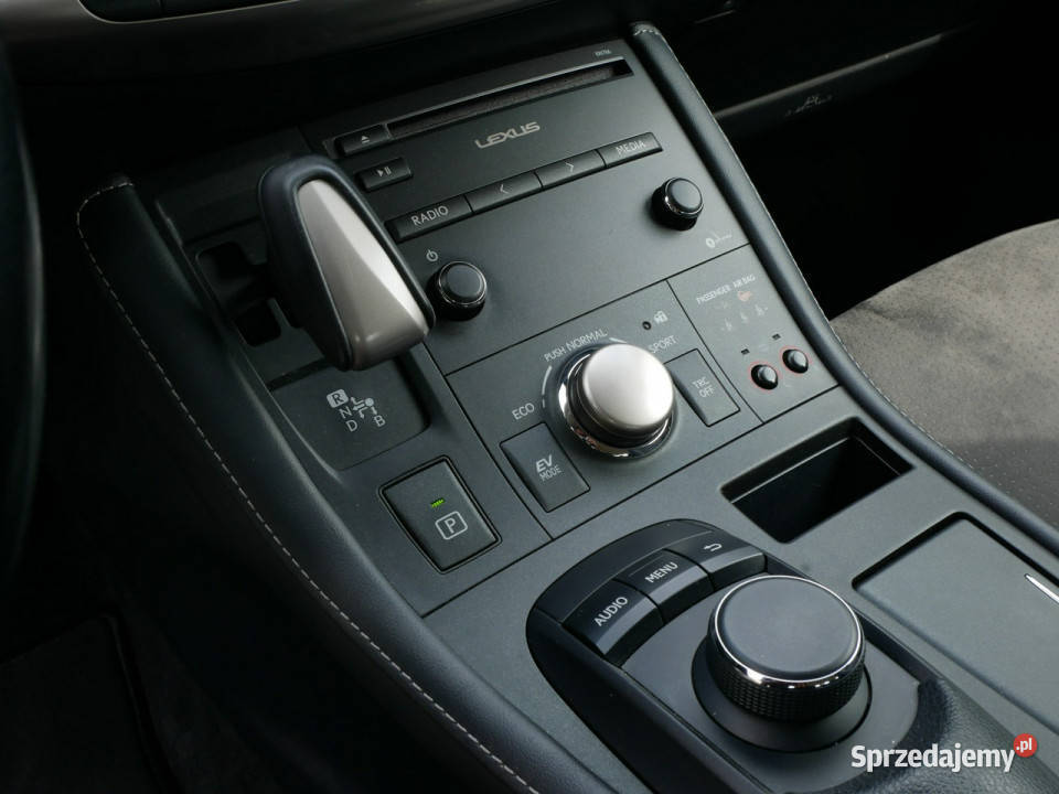 Lexus CT 200H 18VVTi Hybrid 136 Eu6 Automat elektryczne lusterka śląskie