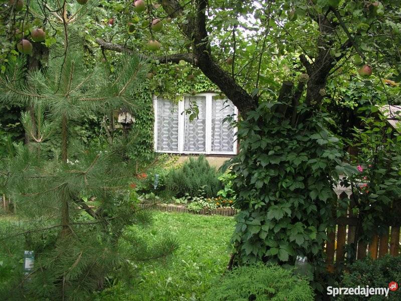 Działka rekreacyjna ROD Lublin sprzedam