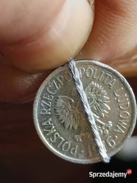 Sprzedam 10 gr 1976 r Chełm