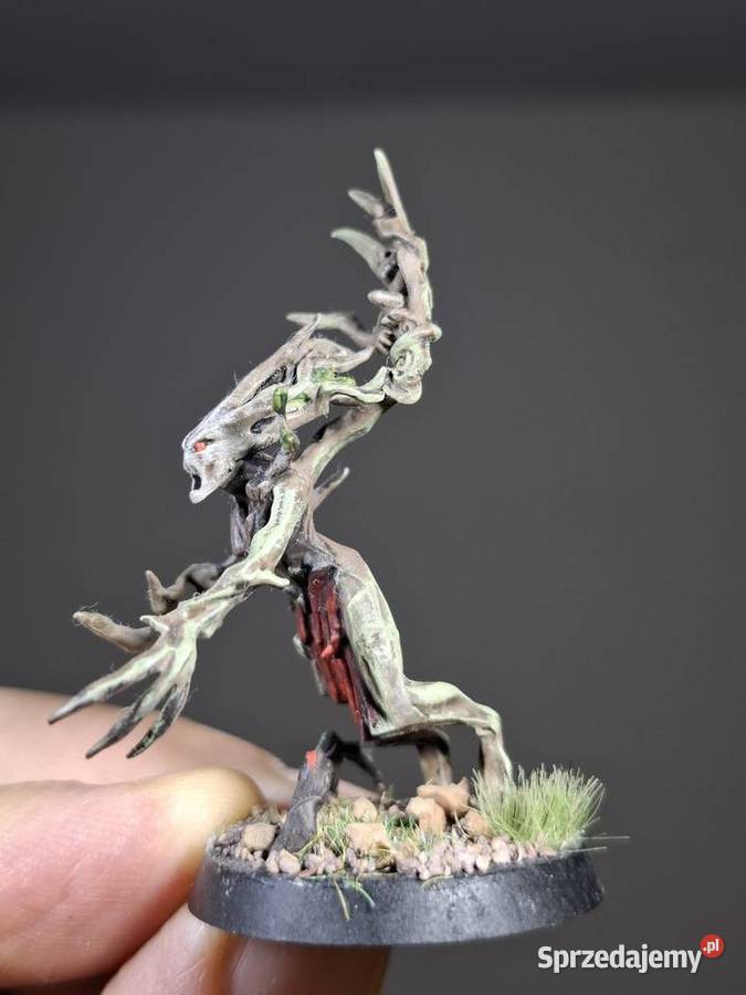 Warhammer Sylvaneth figurki Age of Sigmar małopolskie Kraków