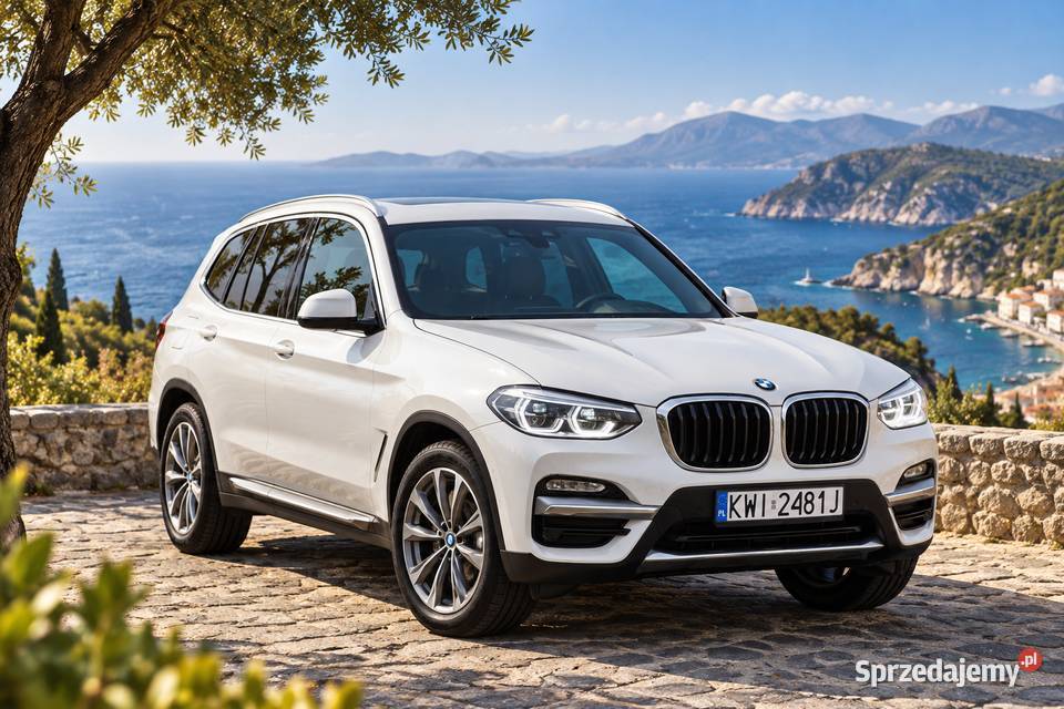 BMW X3 xDrive30i 252 Luxury Line 2019 75 300 Rok produkcji 2019 Niepołomice