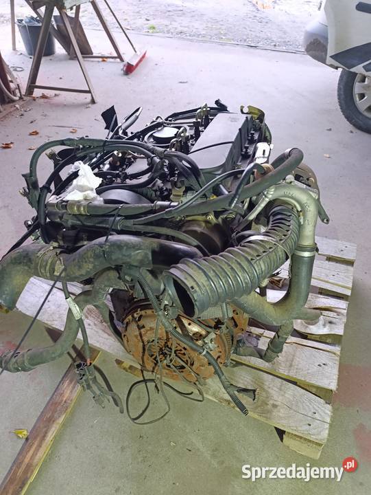Silnik Ford 20 tdci duratoq Świebodzin