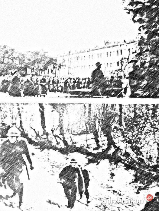 Zdjęcia z lat 193944
