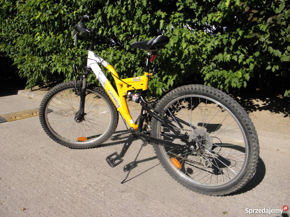 Rower Górski Caledonia Hornet 24 stan