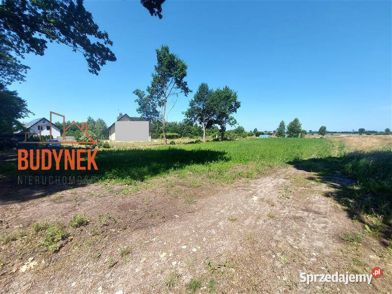 Działka budowlana Rusko Sprzedaż sprzedam