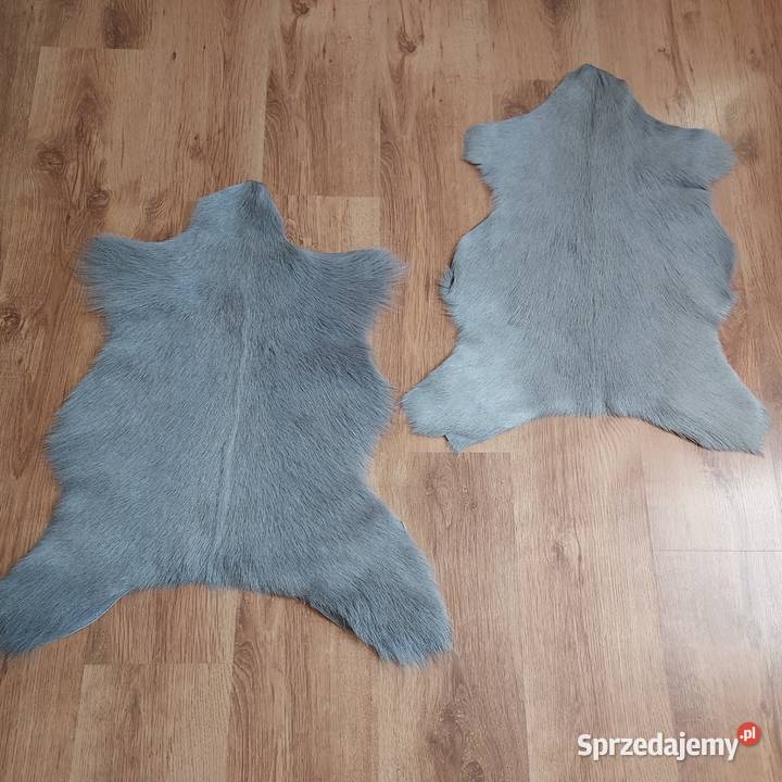 Skóra z Kozy Szara Skóry Kozie Naturalne Szare Szaflary