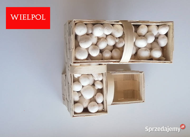 Opakowania do białych pieczarek białej pieczarki Wielichowo