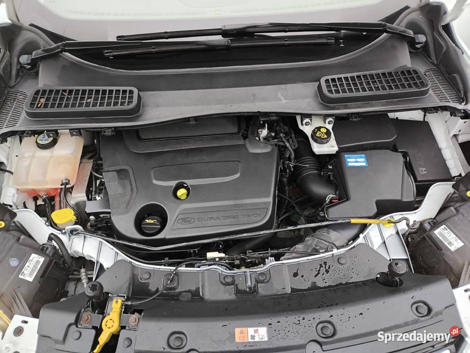 Sprzedam ford Kuga ST line Konin