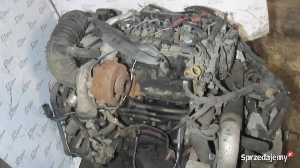 ANTARA CAPTIVA 16r 22 VCDI CDTI Z22D1 A22DM 163 Kielce sprzedam