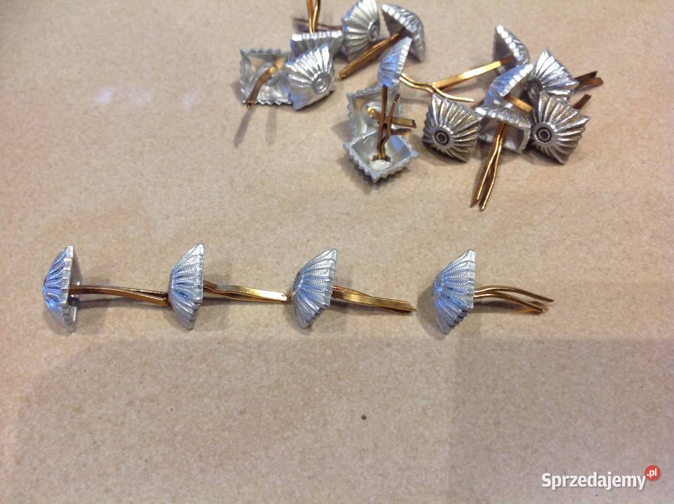 Niemieckie Gwiazdki Srebrne na PagonyStare Nowa Sól