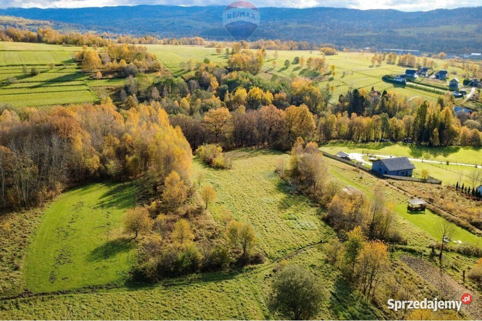 Działka rolna w Oczkowie Sprzedaż Żywiec
