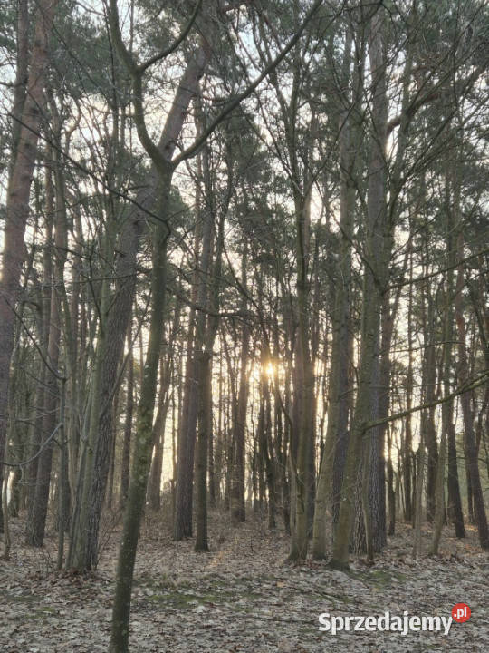 Mieszkanie 62m2 plaża jezioro las jasne Ostróda