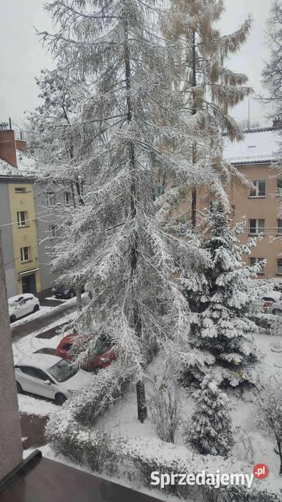 Sprzedam 2 pokoje mieszkanie Tuwima Rozbark Bytom