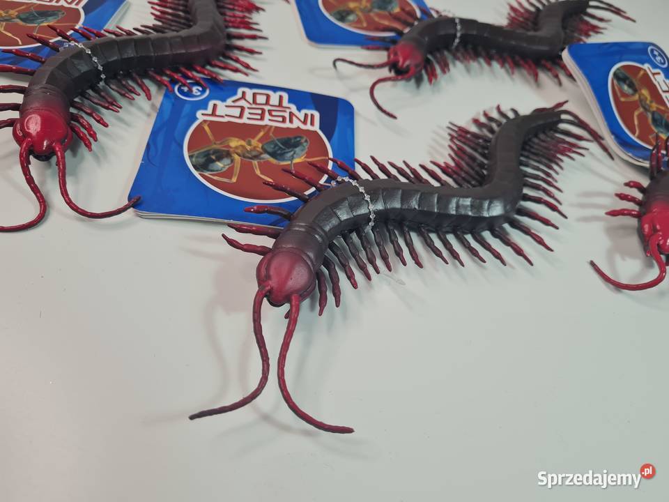 Insect toy chrząszcz robaczki plastikowe Krasne-Lasocice