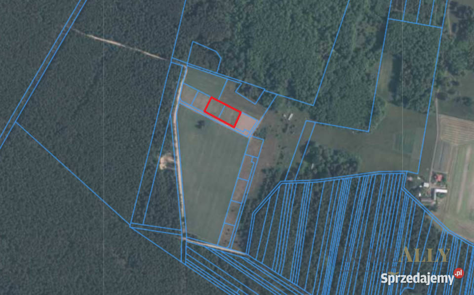 Grunt Strachówka 2800m2 sprzedam