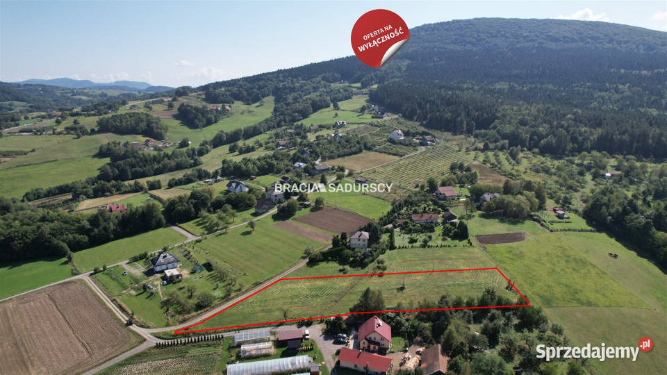 Działka Szyk 4781m2 sprzedam