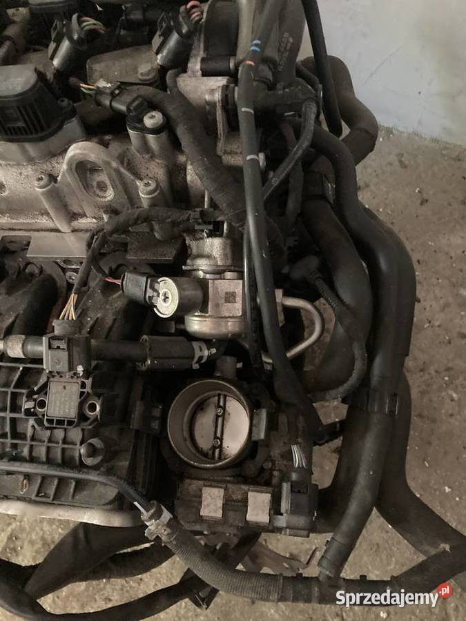 Silnik 14 tsi CZE kompletny 20 ładny Wolsztyn
