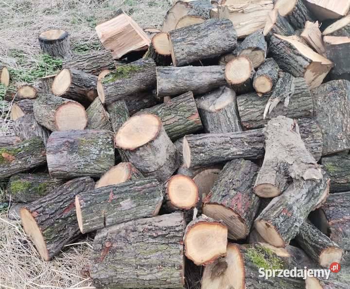 Jesion Dąb Pocięty na klocki 350 Połupany 400 1M
