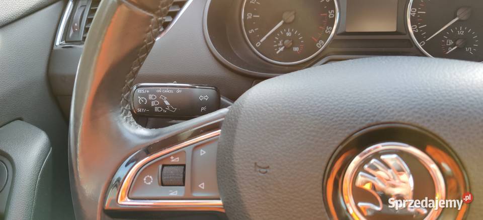 koda Octavia 4x4 Serwis ASO elektryczne lusterka Grybów