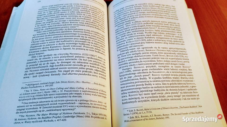 Historia filozofii buddyjskiej Volker Zotz Myśl studia Gdańsk sprzedam