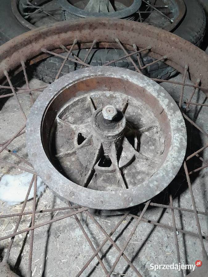 Panonia pannonia kolo kola Czajków