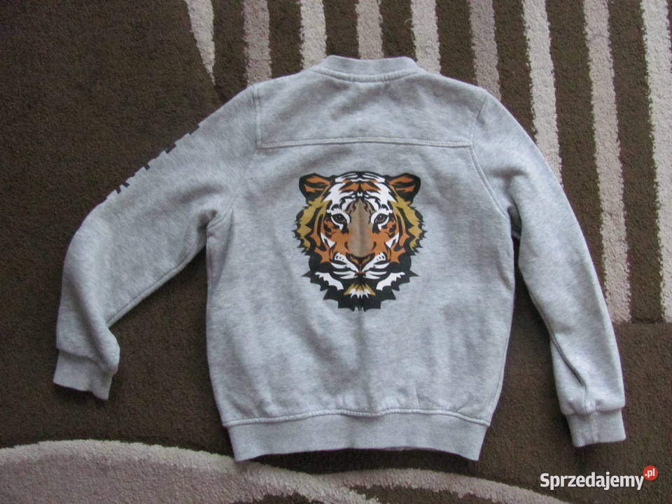Bluza chłopięca Bluzy Pruszcz Gdański