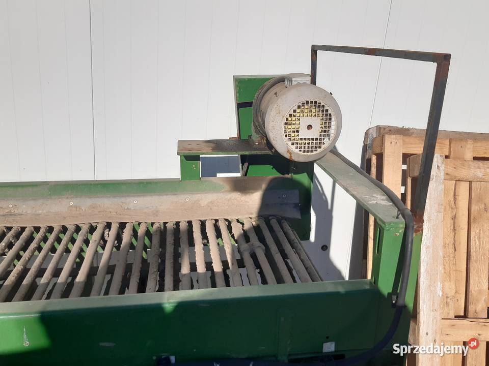 Przenośnik prętowy do warzyw Radostowice