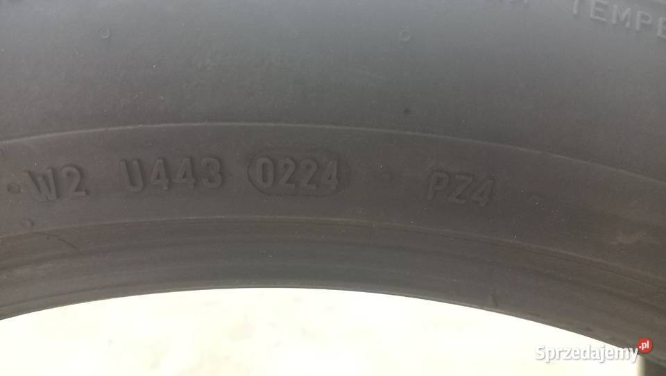 Opona PIRELLI P ZERO R19 24545