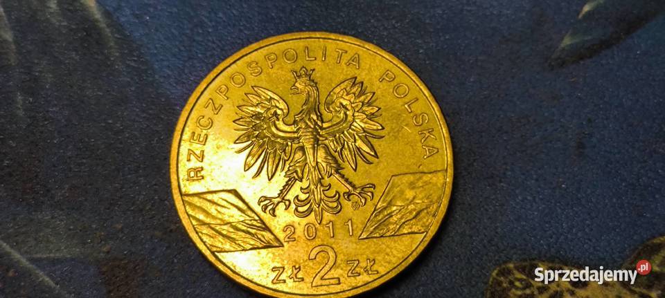 Moneta 2 Borsuk 2011 Gliwice