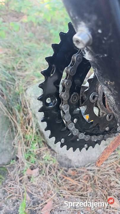 Alu Rower Miejski Męski Gazelle Orange T24