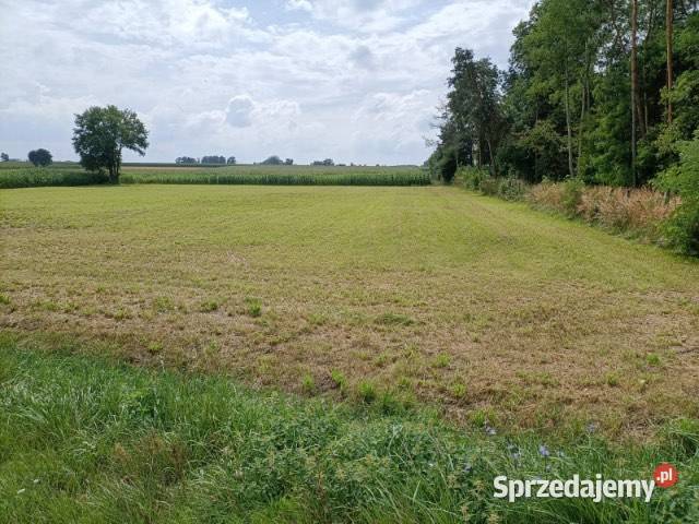 Działka rolna z warunkami zabudowy Wola Branicka 5010m2