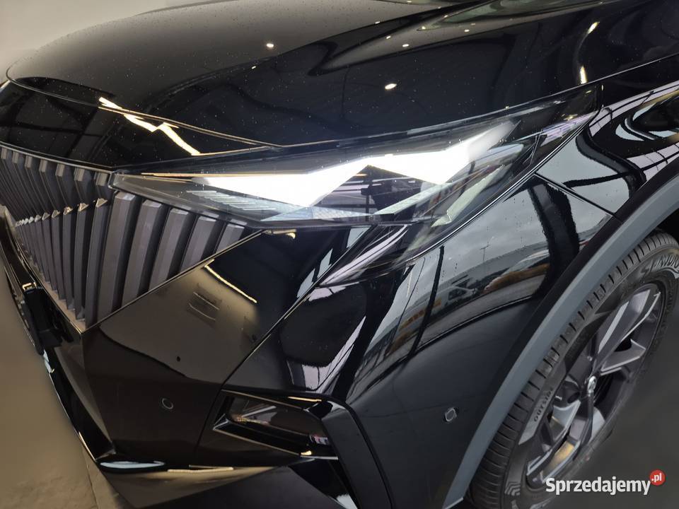 Emzoom 15T Luxury DCT komputer pokładowy śląskie