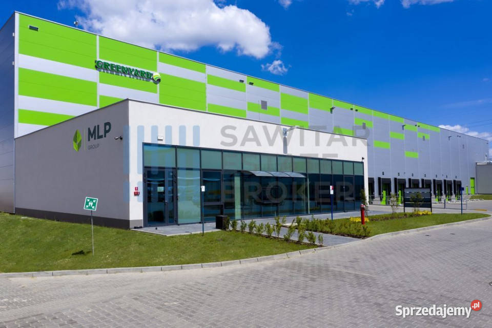 Hala klasyA Dąbrówka bez prowizji Wynajem