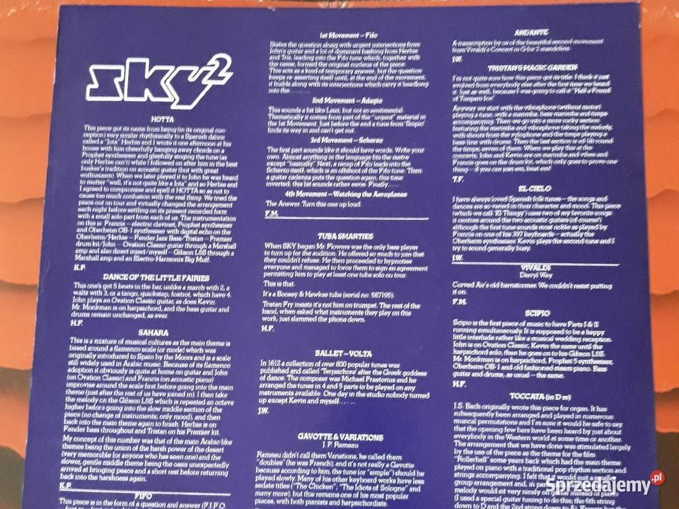 Muzyka niezwykła SKY 2 elektronic progresiv rock Rzeszów sprzedam