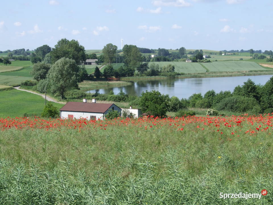Piękna działka rolnobudowlana 3300m jeziorem kujawsko-pomorskie Kikół