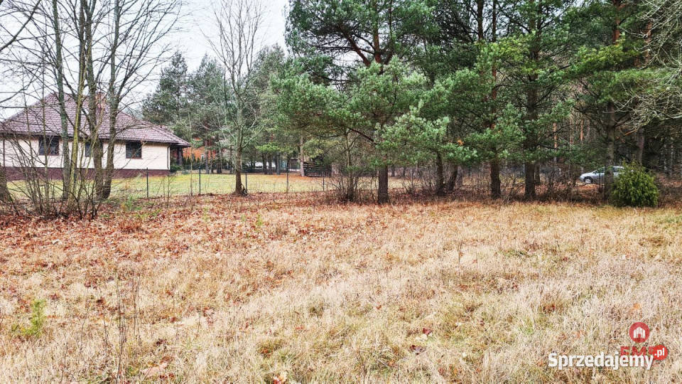 Grunt Pieńki 1911m2 budowlana