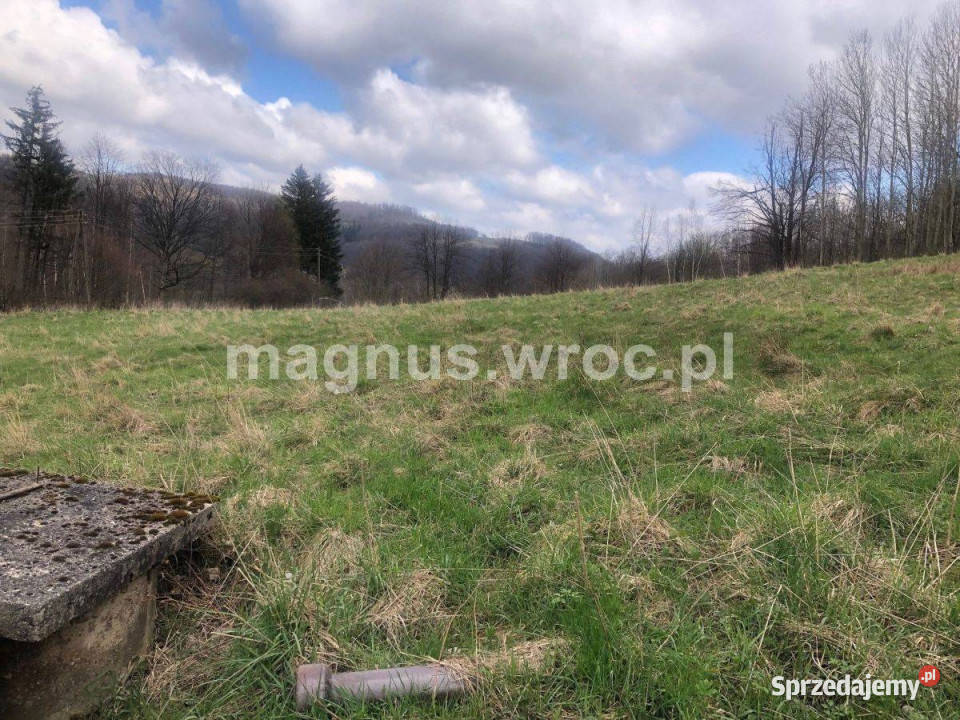 Na sprzedaż duża działka rolna bez mpz w u stóp Sprzedaż Olszyniec