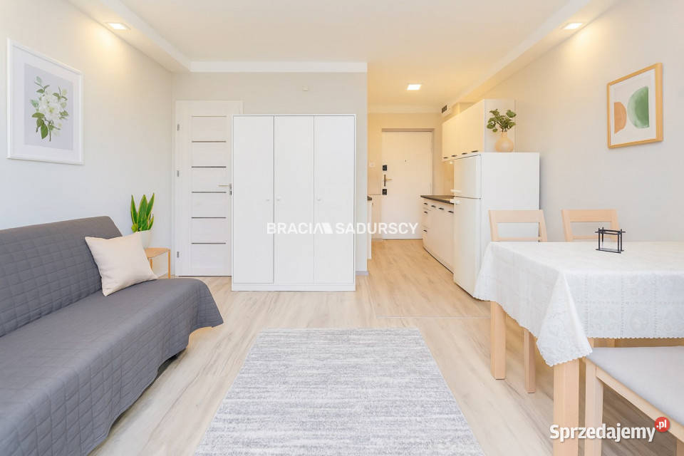 sprzedaży mieszkania Kraków Elsnera 2424m2 1