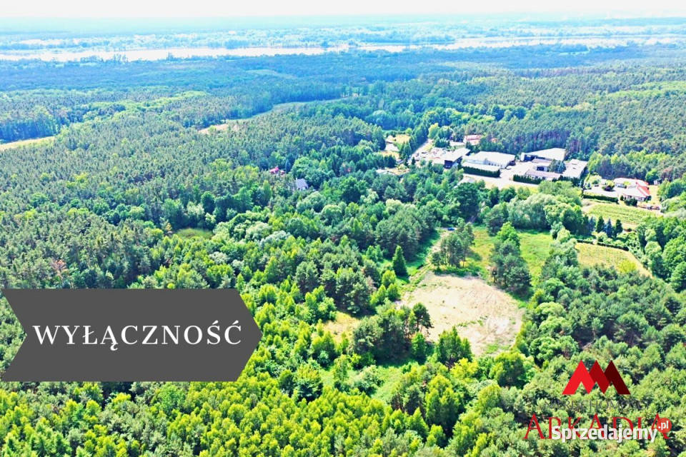 sprzedaży działki ŁęgWitoszyn 3856m2 kujawsko-pomorskie Łęg-Witoszyn