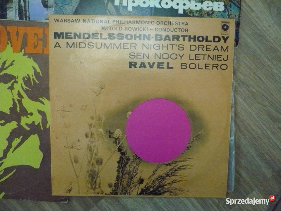 Płyty Winylowe Płyty i kasety Wałbrzych sprzedam