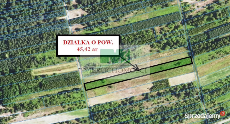 NA SPRZEDAŻ DZIAŁKI ROLNE W BRZÓZIE KRÓLEWSKIEJ Sprzedaż podkarpackie Brzóza Królewska