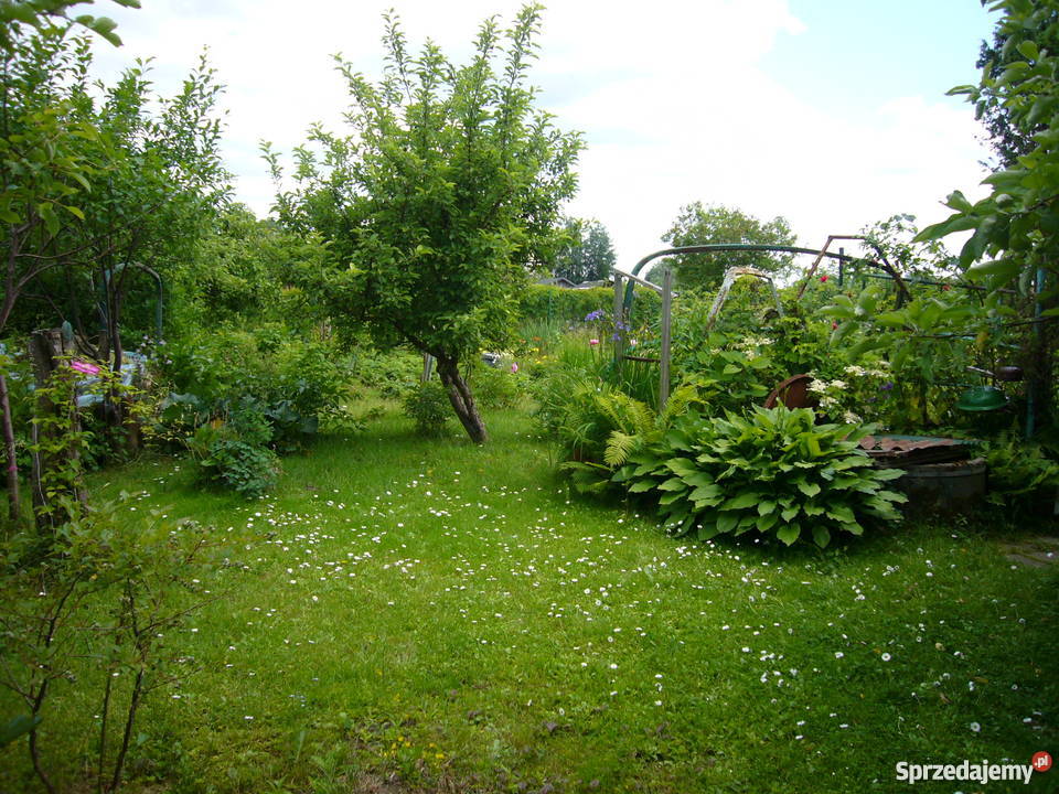 Działka Olsztyn 4 ary Olsztyn