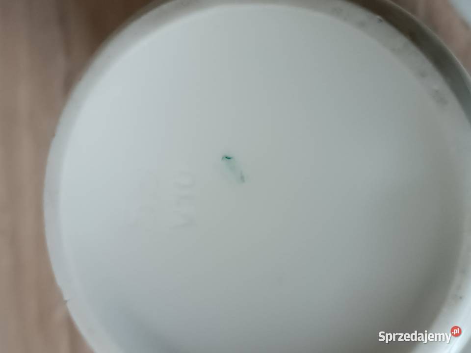 Porcelana wzór owoce Gorlice