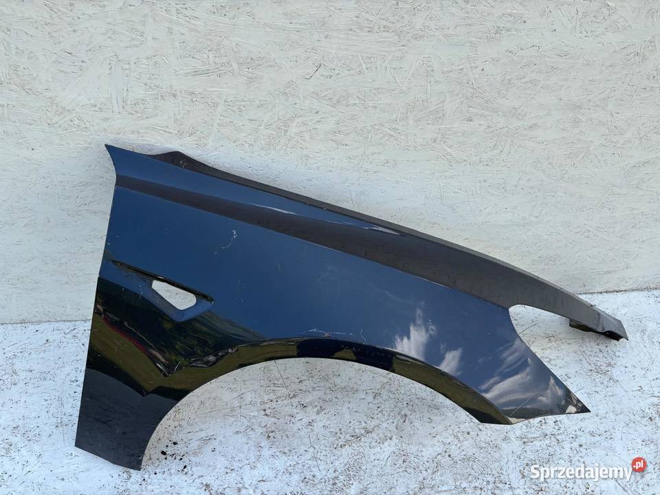 TESLA MODEL 3 BŁOTNIK PRAWY PRZÓD PRZEDNI osobowe wielkopolskie