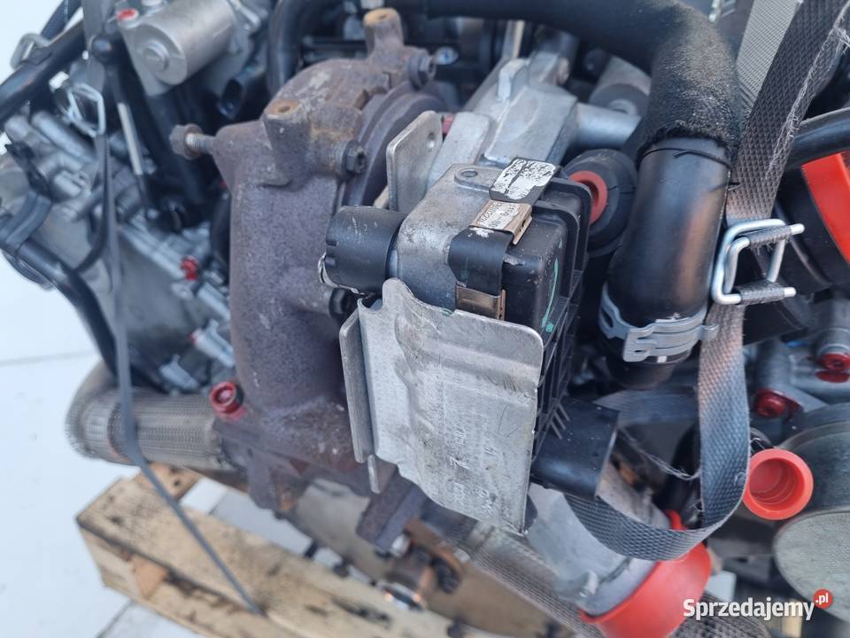 SILNIK Audi A5 8T 27 V6 TDI 190 potwierdzone 170 Rudka