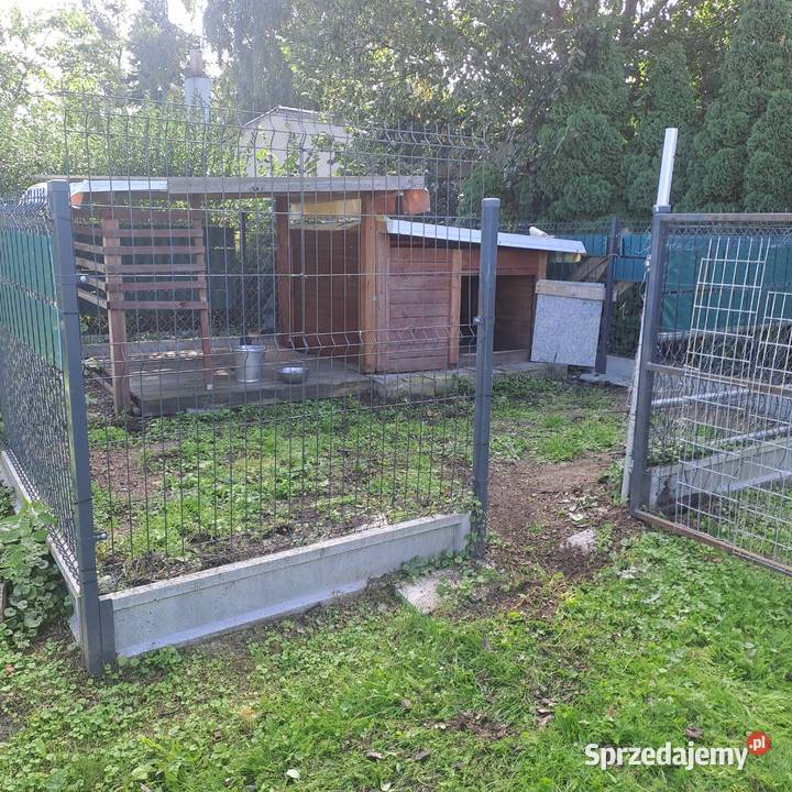 Buda psa z kojcem900 całoscREZERWACJA do soboty Inowrocław