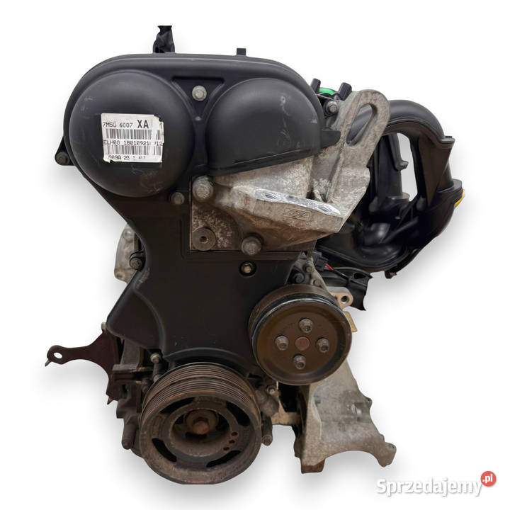 SILNIK SHDA Ford Focus II MK2 C C 16 16V 100 Chełm