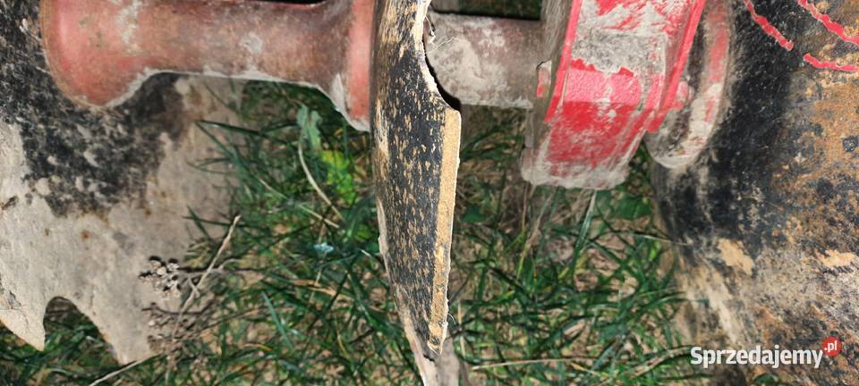 Talerzowka Bajerze sprzedam